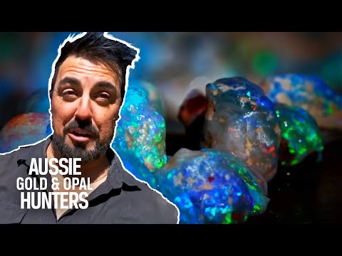The BEST OPAL HAULS Of Season 9! | Outback Opal Hunters