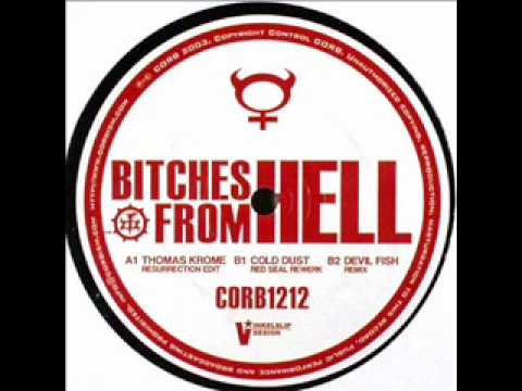 Thomas Krome - Bitches From Hell [Resurrection Edit]