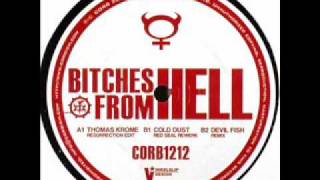Thomas Krome - Bitches From Hell [Resurrection Edit]