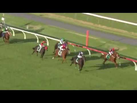 2020 South Australian Derby | Russian Camelot