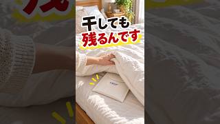 干してもダニは残る?｜ダニ捕りロボ