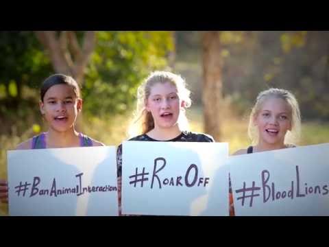 The YouthForLions Roar Off competition with Blood Lions 2016