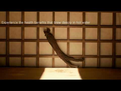 BOHANJANG BLACK GINSENG TEA
