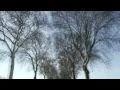 Tal Weiss - Motion Drawing