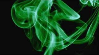 The Vines - 1969 (Zepp Hindle Remix)