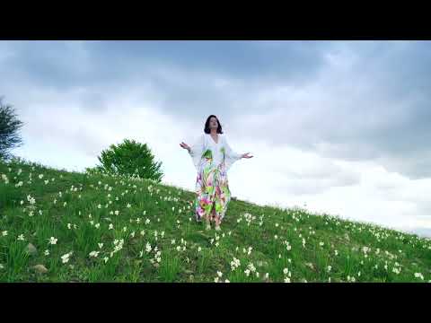 Myfarete Laze - Zemer e Trazuar