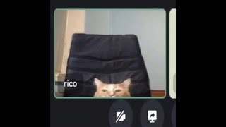 もう私を狂わせないで頂戴