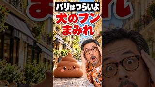 パリは汚くてつらいよ｜犬のフンまみれの街パリ