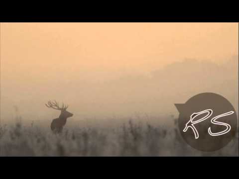 Deep House Mix (Shadow Child | Route94 | Polkadot) RS Mix #11