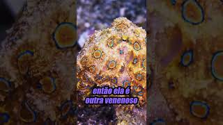 RICHARD RASMUSSEN FALA SOBRE AS CORES DOS ANIMAIS NA NATUREZA #richardrasmussen #animais #cores