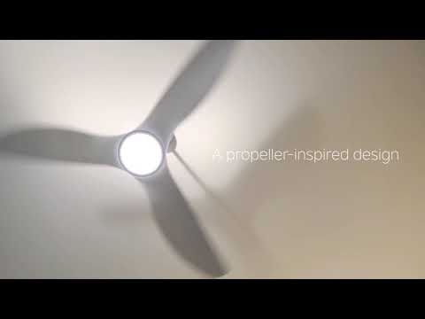 Imari Ceiling Fan