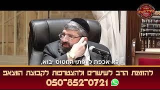 הרב אייל עמרמי - העיקר אמונה! (הרב אייל עמרמי) - התמונה מוצגת ישירות מתוך אתר האינטרנט יוטיוב. זכויות היוצרים בתמונה שייכות ליוצרה. קישור קרדיט למקור התוכן נמצא בתוך דף הסרטון