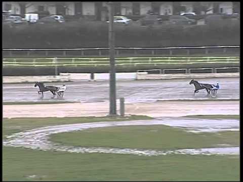 Trotto 20/01/2015 - Prova di riqualifica