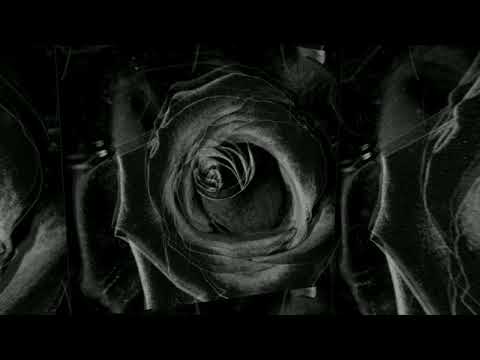 CHANGEBEATZ-BLACK ROSE