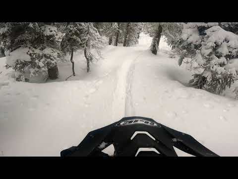 Timbersled Aro3 Early Season Tree Ride