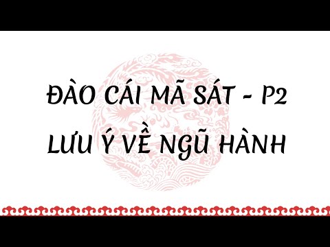 Đào Cái Mã Sát phần 2 - Lưu ý về ngũ hành