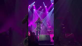 Music video thumbnail preview for Senses [Live] by Peter Hook & the Light