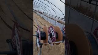 Download lagu #성주참외#성주#농부#농장#참외 mp3