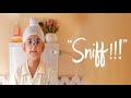 Sniff Hindi Full Movie - Khushmeet Gill - Amole Gupte - Bollywood Popular Hindi Movie