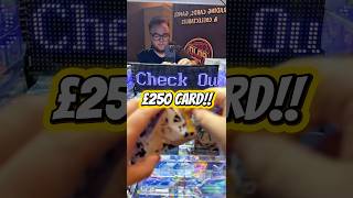 White Flare blessed us on live stream! #pokemon #pokemoncards #pokemontcglive