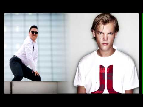 Avicii VS PSY - Levels Gangnam Style