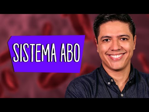 ABO SYSTEM - BLOOD TYPES - GENETICS - Prof. Kennedy Ramos
