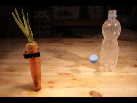 Terminator most epic deleted scene - organic carrot kills filthy plastic bottle