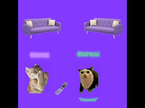 CAT MEMES 🐱 Me revving my Ferrari 488 Pista on the phone (Siblings like it!)