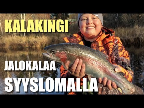 Kalakingi jalokalan pyynnissä - koskikalastus -perhokalastus - Spintube - Eumer Fishing