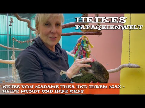 Neues von Madame Thea und ihrem Max - Heike Mundt und ihre Keas ❤