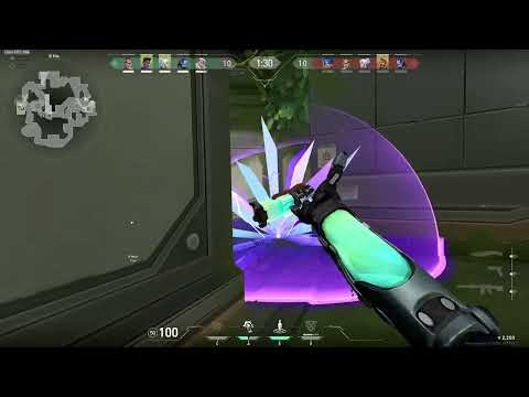 NOBODY EXPECTS THE SPANISH INQUISITION