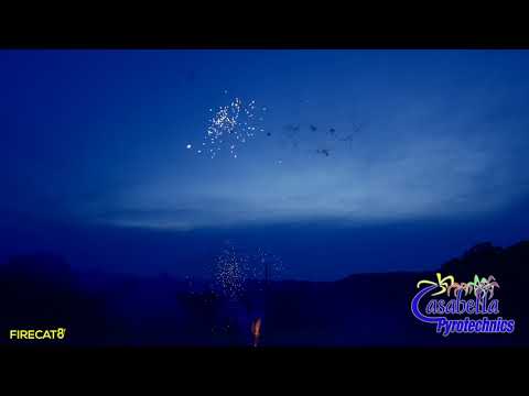 Magnus American Dream