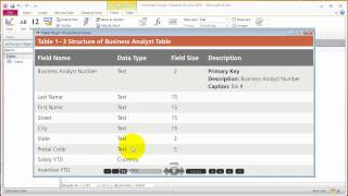 Access Chapter 1 Database and Database Objects an Introduction.mp4