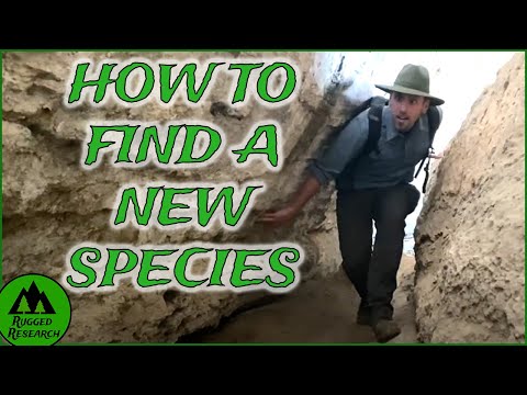 新種の見つけ方！