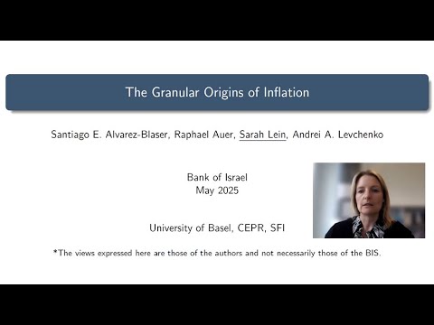 Sarah Lein – The granular origins of inflation