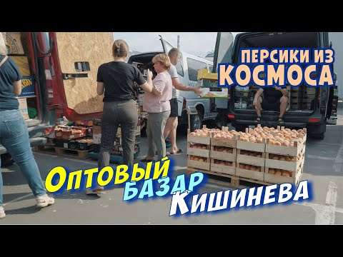 , title : 'Кишинев 2022, цены на оптовом рынке, ул , Скоростная, август 2022'
