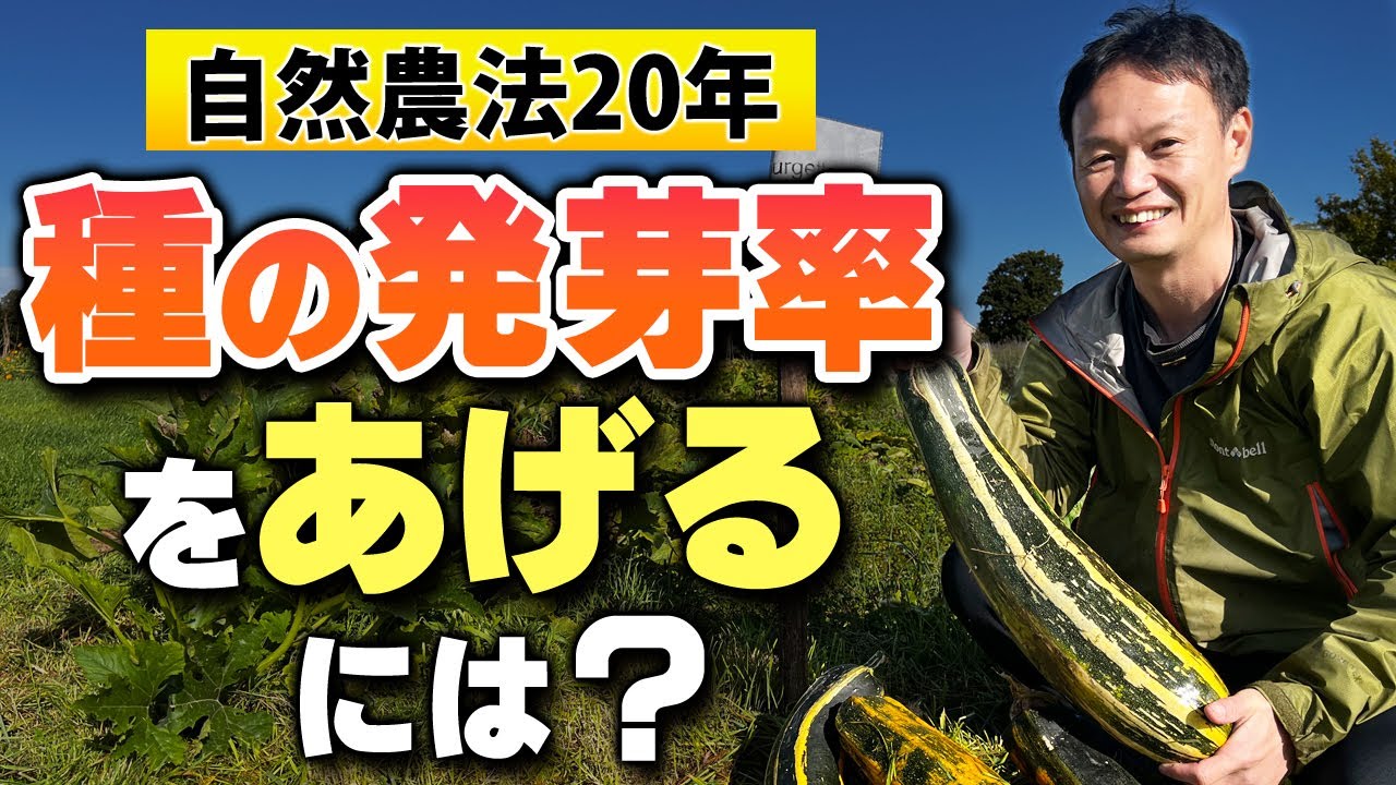 自然栽培の種まきと自家採種の極意