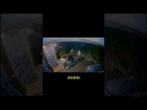 곰의 습격이 무서운 이유 #shorts