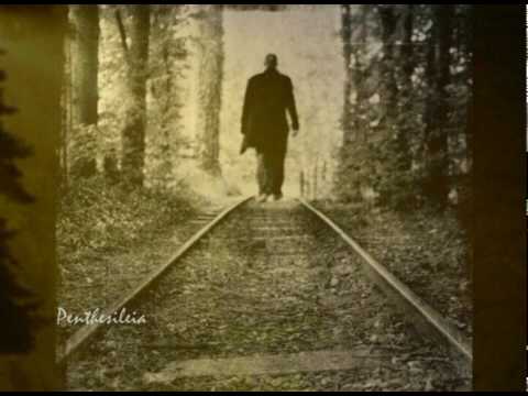 Χειμωνανθός - Χαρούλης Γιάννης