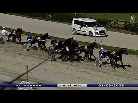 Aversa trotto 1 Marzo 2023 - 3° Corsa