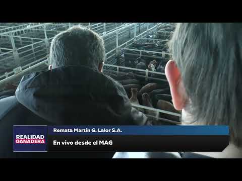 REALIDAD GANADERA - Remata Martin G Lalor (08-10-25)