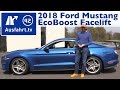 2018 Ford Mustang 2 3l Ecoboost FL Kaufberatung Test Review