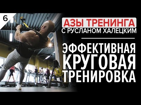 Азы тренинга 2017/ эффективная круговая тренировка Руслан Халецкогий