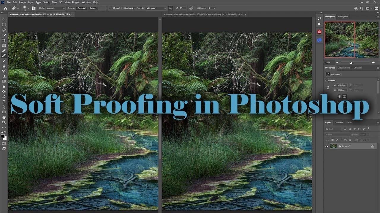 How to Create Better Photo Prints Wit