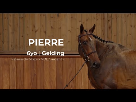 4. Pierre | Profile