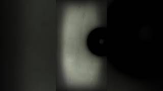 Meee