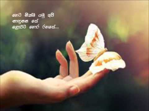 Nil Tharaka Biya Vee Sale - Karunarathna Divulgane