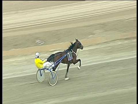 Trotto 02/04/2017 - prova di riqualifica