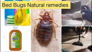 "Eliminating Bed Bugs? THIS Natural Remedy Will Leave You SHOCKED!"