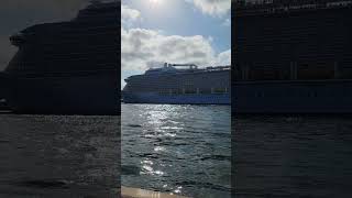 #Cruise #trending #sydneyharbour